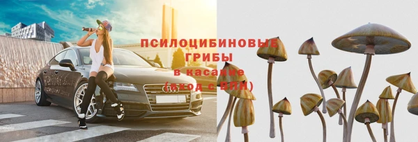 гидра Зеленокумск