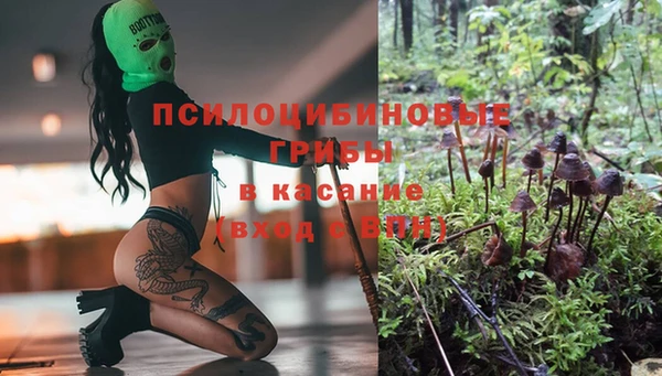 дмт Зерноград