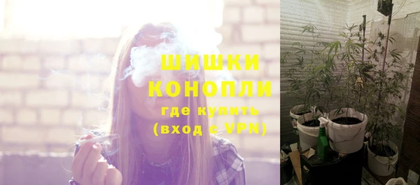 гидра Зеленокумск