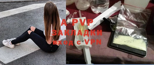 гидра Зеленокумск