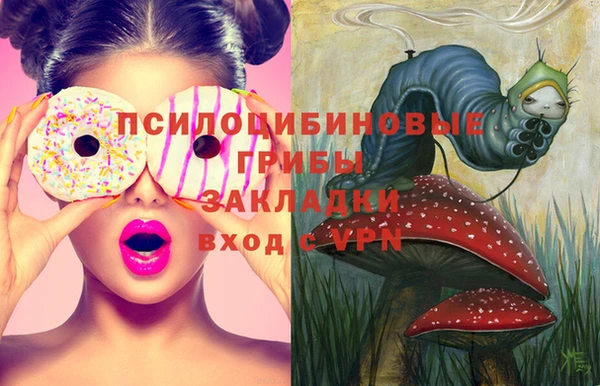дмт Зерноград